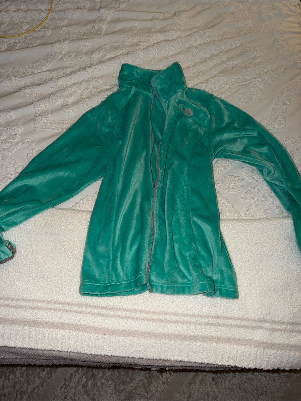 The North Face Teal Green Teddy Jacket for Kids